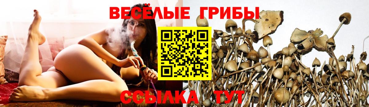 Купить наркотики  Лсд 25  Лыткарино  Бошки Шишки  Вход с VPN  Мефедрон   ГАШ 