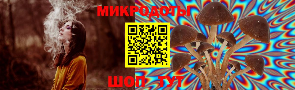 Псилоцибиновые грибы GOLDEN TEACHER Лыткарино